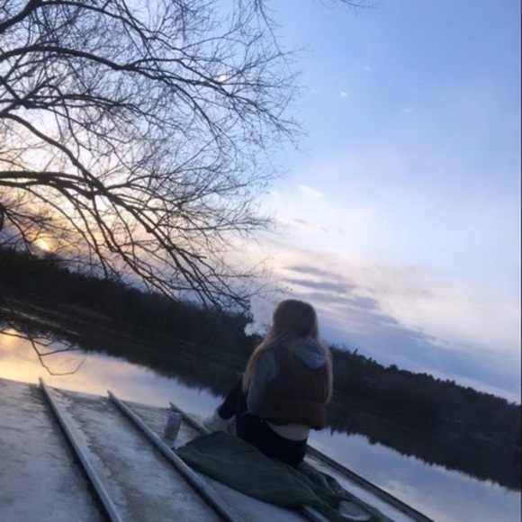 Meet your Posher, Misty - Picture 1 of 1